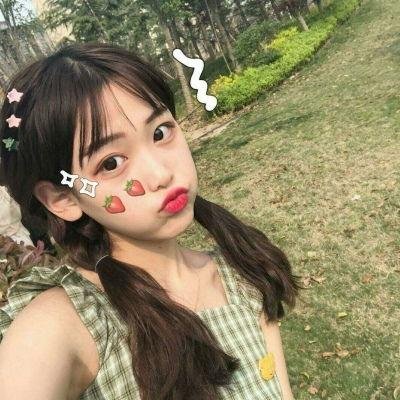 公民哈维尔
